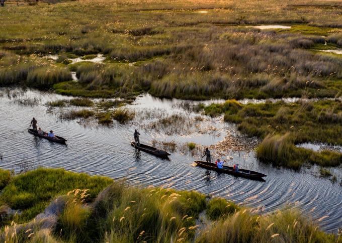 Delta Okawango
